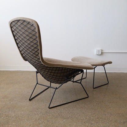 Harry Bertoia Bird Chair + Ottoman
