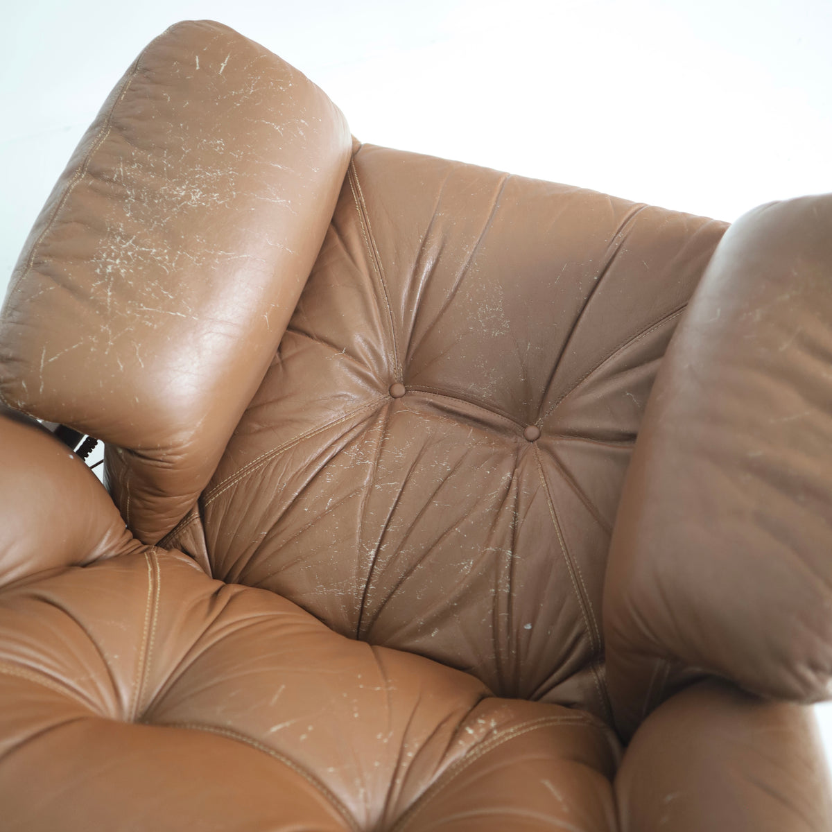 Jean Gillon “Amazonas” Chair