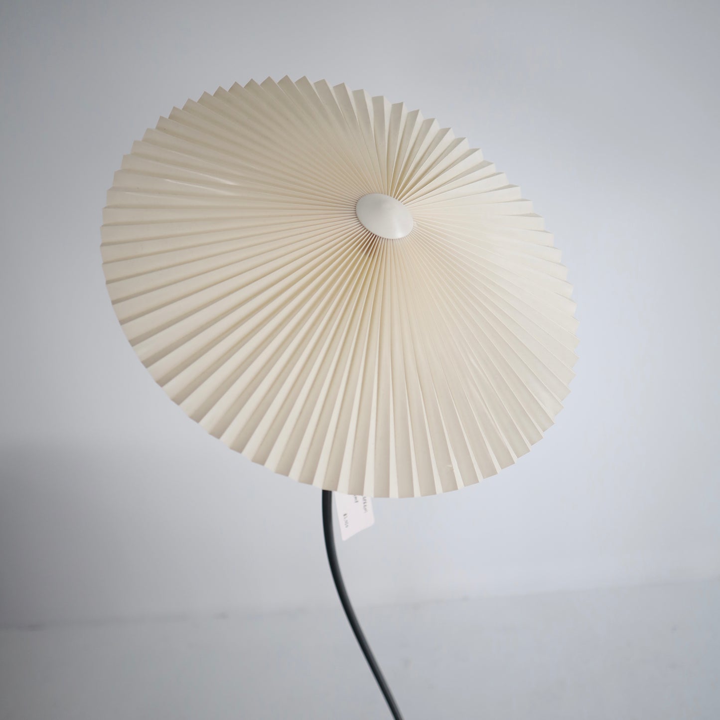 Rare Caprani Lamp