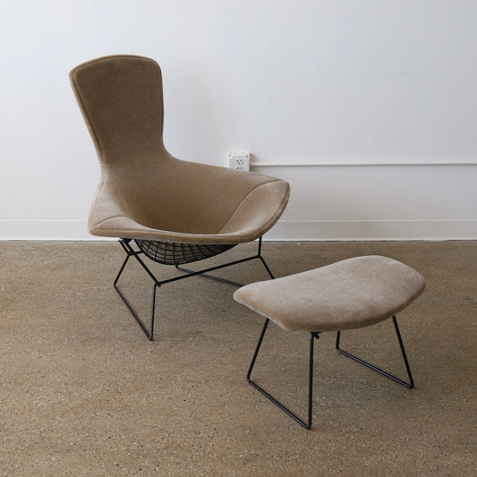 Harry Bertoia Bird Chair + Ottoman